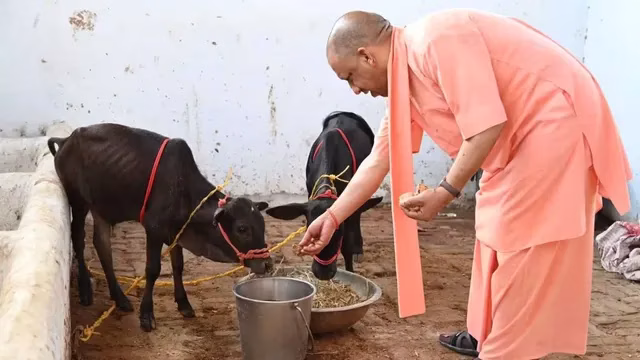 उत्तर प्रदेश में गोशालाओं से बढ़ेगी किसानों की आय, प्राकृतिक खेती का प्लान